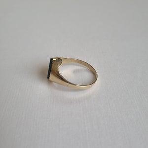 Oval bloodstone signet ring in 9kt gold